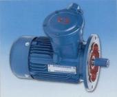 YBS系列小功率隔爆型三相異步電動機(jī)