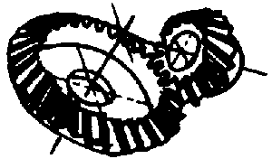 �X݆�����g(sh��)�Zһ�㶨�x