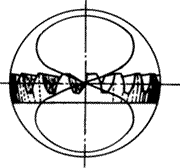 �X݆�����g(sh��)�Z�F�X݆����(zh��n)�p�����X݆�����X݆��