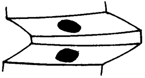 �F�X݆�͜��p�����X݆�g�Z�ӹ�������݆�X���|���z���ԇ�