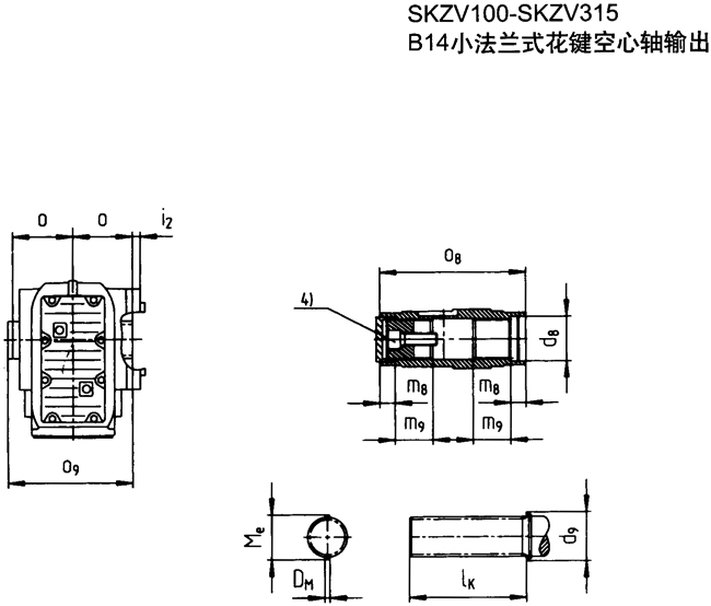 SK系列斜齒輪—蝸旋傘齒輪減速電機(jī)